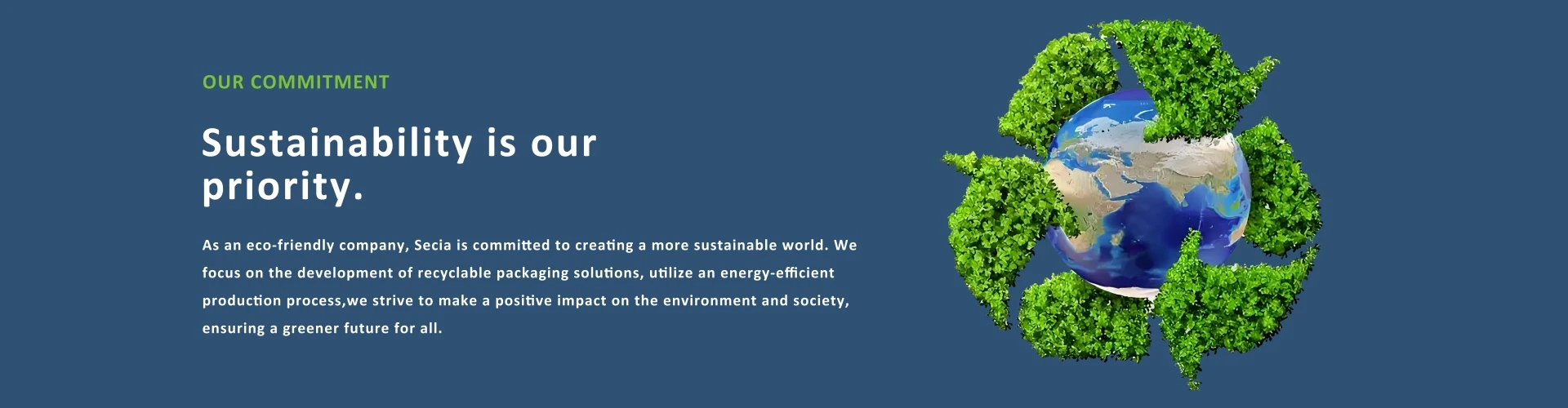 Sustainability Sustainability